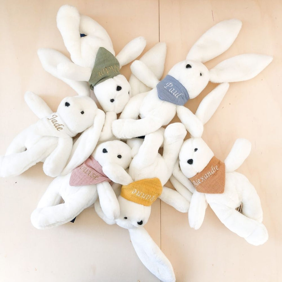 La peluche lapin personnalisé, une belle idée pour un cadeau de naissance .
Ultra doux, ce petit lapin est le meilleur ami de bébé
